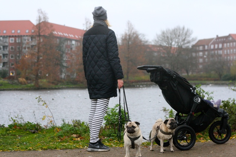 Oestre_anlaeg_aalborg_mops