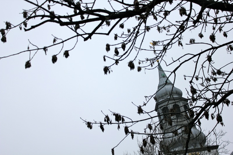 Budolfi_kirke_taarn