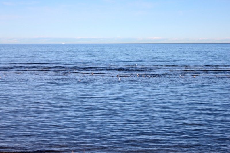 Saeby_strand
