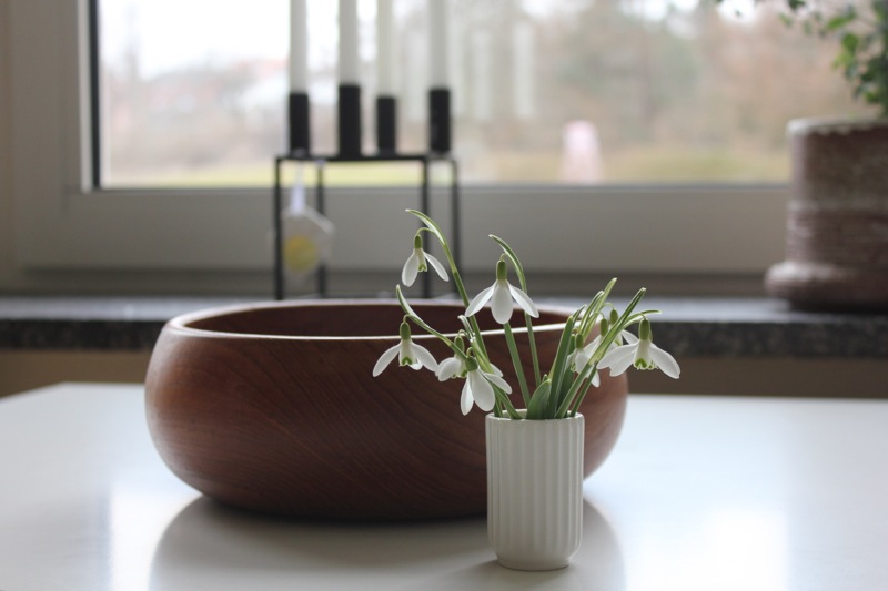 Vintergaekker_teakskaal_lyngbyvase