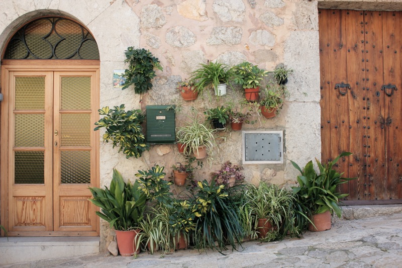 Valldemossa_planter_mallorca