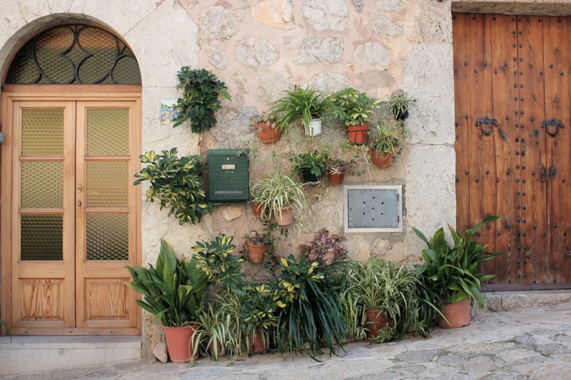 Valldemossa_planter_mallorca