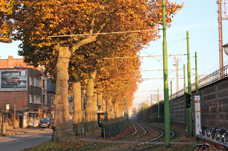 autumn_belgium