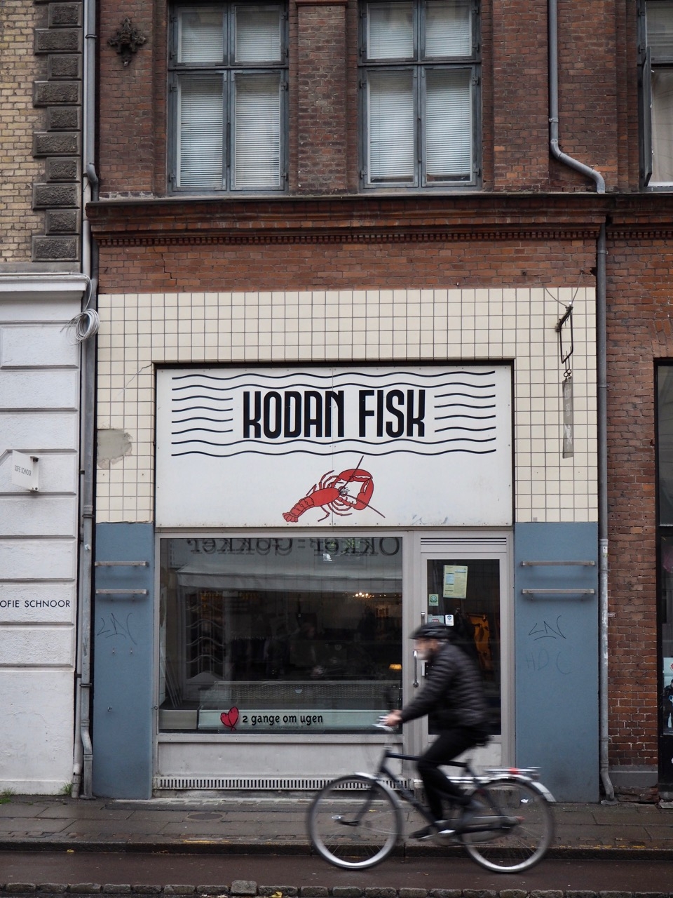 Kodan_fisk_koebenhavn